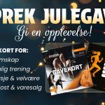 Spreke julegaver